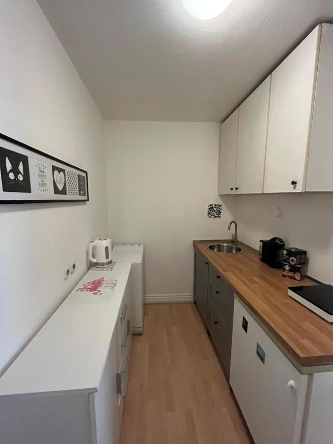 Apartment Flamingo Lubiana Esterno foto